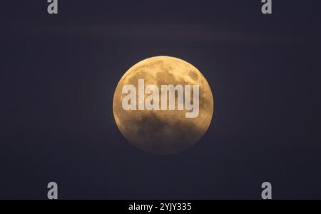 Wimbledon, Londres, Royaume-Uni. 15 novembre 2024. La dernière Supermoon de 2024, la Beaver Moon, s'élevant au-dessus de Londres dans de minces nuages. Crédit : Malcolm Park/Alamy Banque D'Images