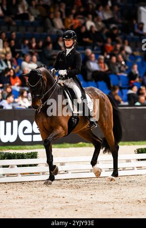 Platz und Bronze fuer Nowag-Aulenbrock Bianca auf Queolito, RFV Ostbevern Dressurprüfung Grand Prix International Int. Dressurpruefung - CDI4 Aufgabe : FEI Grand Prix 2009, Rev. 2014 Qualifikation zum Grand Prix Special GER, Stuttgart German Masters 2024, 38. internationale Reitturnier, 16.11.2024 Foto : Eibner-Pressefoto/Roger Buerke Banque D'Images