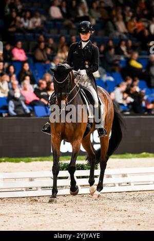 Stuttgart, Allemagne. 16 novembre 2024. Platz und Bronze fuer Nowag-Aulenbrock Bianca auf Queolito, RFV Ostbevern Dressurprüfung Grand Prix International Int. Dressurpruefung - CDI4 Aufgabe : FEI Grand Prix 2009, Rev. 2014 Qualifikation zum Grand Prix Special GER, Stuttgart German Masters 2024, 38. internationale Reitturnier, 16.11.2024 Foto : Eibner-Pressefoto/Roger Buerke crédit : dpa/Alamy Live News Banque D'Images