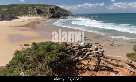 Célèbre hikingtrail Rota Vicentina le long de la côte ouest du Portugal Banque D'Images