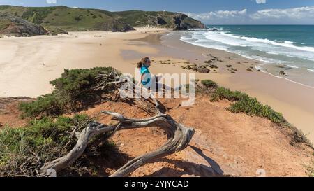 Célèbre hikingtrail Rota Vicentina le long de la côte ouest du Portugal Banque D'Images