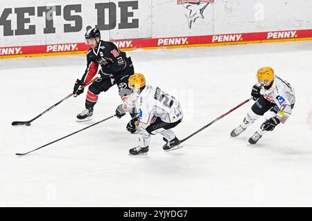 Eishockey DEL - 24/25 -16. Spieltag : Kölner haie vs Fischtown Pinguins AM 15.11.2024 in der LANXESS Arena in Köln Foto : osnapix Banque D'Images