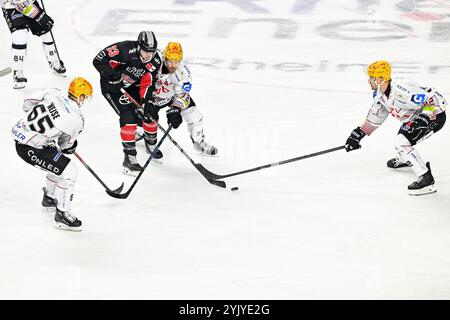 Eishockey DEL - 24/25 -16. Spieltag : Kölner haie vs Fischtown Pinguins AM 15.11.2024 in der LANXESS Arena in Köln Foto : osnapix Banque D'Images