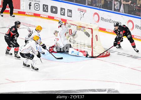 Eishockey DEL - 24/25 -16. Spieltag : Kölner haie vs Fischtown Pinguins AM 15.11.2024 in der LANXESS Arena in Köln Foto : osnapix Banque D'Images