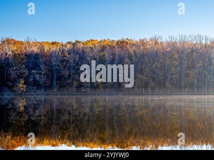 Brouillard automne Banque D'Images