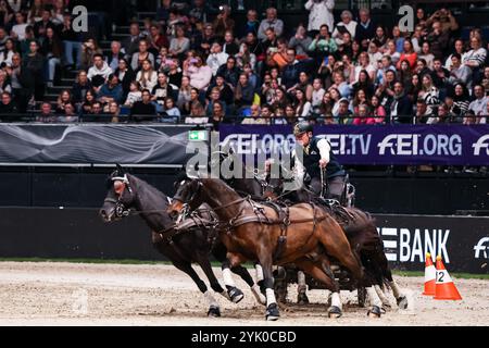 Or 1. Prix Exell Boyd Australia Carriage 1 FEI Driving World Cup™ MASTERHORSE GERMAN MASTER Zeit-Hindernisfahren Vierspaenner mit 2 Umlaeufen Wertungspruefung für den Weltcup Fahren 2024/2025 International GER, Stuttgart German Masters 2024, 38. internationale Reitturnier, 16.11.2024 Foto : Eibner-Pressefoto/Roger Buerke Banque D'Images