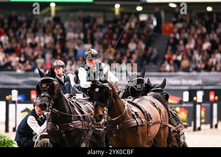 Or 1. Prix Exell Boyd Australia Carriage 1 FEI Driving World Cup™ MASTERHORSE GERMAN MASTER Zeit-Hindernisfahren Vierspaenner mit 2 Umlaeufen Wertungspruefung für den Weltcup Fahren 2024/2025 International GER, Stuttgart German Masters 2024, 38. internationale Reitturnier, 16.11.2024 Foto : Eibner-Pressefoto/Roger Buerke Banque D'Images