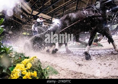 Stuttgart, Allemagne. 16 novembre 2024. Or 1. Prix Exell Boyd Australia Carriage 1 FEI Driving World Cup MASTERHORSE GERMAN MASTER Zeit-Hindernisfahren Vierspaenner mit 2 Umlaeufen Wertungspruefung für den Weltcup Fahren 2024/2025 International GER, Stuttgart German Masters 2024, 38. internationale Reitturnier, 16.11.2024 Foto : Eibner-Pressefoto/Roger Buerke crédit : dpa/Alamy Live News Banque D'Images