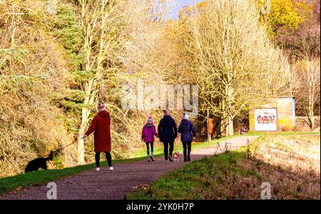 Dundee, Tayside, Écosse, Royaume-Uni. 16 novembre 2024. Météo britannique : le temps très froid de l'automne renforce la splendeur du Dundee Clatto Country Park. Malgré les basses températures, quelques habitants profitent néanmoins d’une promenade le samedi autour de l’étang du parc. Crédit : Dundee Photographics/Alamy Live News Banque D'Images