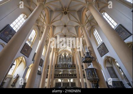 Intérieur avec plafond voûté et loft d'orgue, orgue construit en 1751 par le facteur d'orgues Johann Philipp Seuffert, église St Vitus, XVIe siècle, Iphofen Banque D'Images