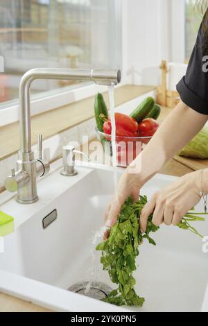 Gros plan sur les mains féminines lavant le persil ou la coriandre dans l'évier Banque D'Images