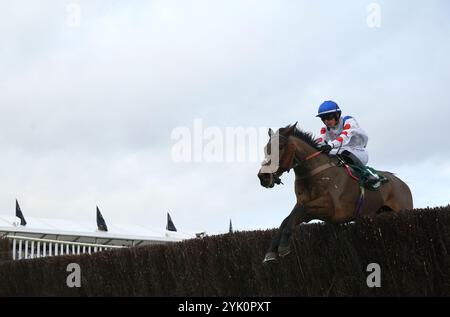 Il Ridoto monté par Freddie Gingell sur leur chemin pour gagner la Paddy Power Gold Cup handicap Chase lors du Paddy Power Day à l'hippodrome de Cheltenham. Date de la photo : samedi 16 novembre 2024. Banque D'Images