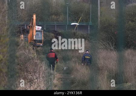 Gardai lors d'une recherche à Ring Commons, Balrothery East, dans le nord du comté de Dublin, à la recherche d'un homme et d'une femme portés disparus et soupçonnés d'être assassinés. Gardai a déclaré que William Maughan et Anastasija Varslavane avaient été vus pour la dernière fois en avril 2015. En 2016, l'affaire a été transformée en enquête pour meurtre. Date de la photo : samedi 16 novembre 2024. Banque D'Images