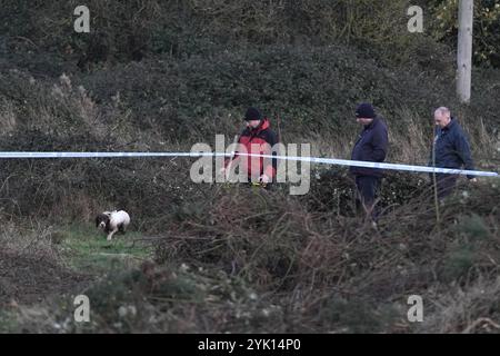 Gardai lors d'une recherche à Ring Commons, Balrothery East, dans le nord du comté de Dublin, à la recherche d'un homme et d'une femme portés disparus et soupçonnés d'être assassinés. Gardai a déclaré que William Maughan et Anastasija Varslavane avaient été vus pour la dernière fois en avril 2015. En 2016, l'affaire a été transformée en enquête pour meurtre. Date de la photo : samedi 16 novembre 2024. Banque D'Images