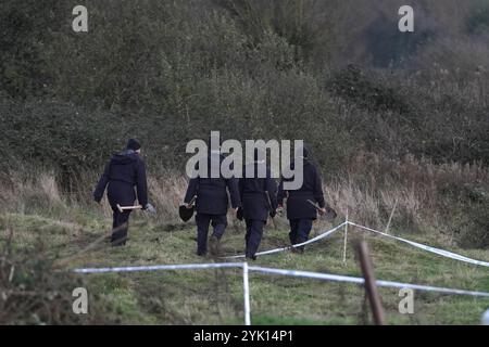 Gardai lors d'une recherche à Ring Commons, Balrothery East, dans le nord du comté de Dublin, à la recherche d'un homme et d'une femme portés disparus et soupçonnés d'être assassinés. Gardai a déclaré que William Maughan et Anastasija Varslavane avaient été vus pour la dernière fois en avril 2015. En 2016, l'affaire a été transformée en enquête pour meurtre. Date de la photo : samedi 16 novembre 2024. Banque D'Images