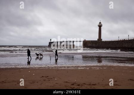 Couple promène des chiens par temps venteux sur Whitby Beach, Angleterre. Banque D'Images