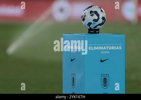 Montevideo, Uruguay - 16 novembre 2024 : L'équipe nationale uruguayenne de football affronte la Colombie dans un match de qualification très attendu pour la Coupe du monde à l'historique Estadio Centenario. Les deux équipes rivalisent férocement, démontrant leurs compétences et leur détermination alors qu'elles luttent pour des points cruciaux dans les compétitions de qualification sud-américaines. Le stade, rempli de fans passionnés, offre une atmosphère électrisante pour cette rencontre clé. (Photo de Gaston Britos/FocoUy/UNAR photo) crédit : UNAR photo/Alamy Live News Banque D'Images