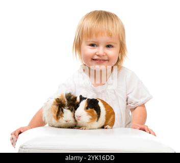 Petite petite fille mignonne avec des cobayes. Isolé sur fond blanc. Banque D'Images