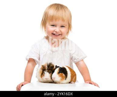 Petite petite fille mignonne avec des cobayes. Isolé sur fond blanc. Banque D'Images