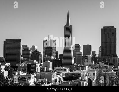 Gratte-ciel noir et blanc de San Francisco avec la Transamerica Pyramid Banque D'Images