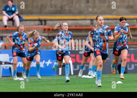 Sydney, Australie. 16 novembre 2024. Les joueuses du Sydney FC s'échauffent avant le match de A-League RD3 féminin entre le Sydney FC et les Wanderers à Leichhardt Oval le 16 novembre 2024 à Sydney, Australie crédit : IOIO IMAGES/Alamy Live News Banque D'Images