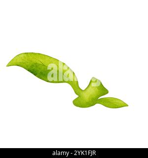 Feuilles d'aquarelle verte. Eléments floraux isolés. Banque D'Images