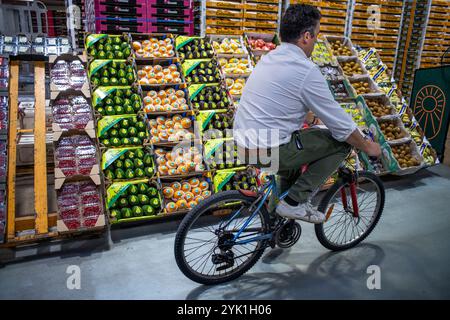 Section fruits et légumes, dans Mercabarna. Les marchés centraux de Barcelone. Barcelone. Espagne Banque D'Images