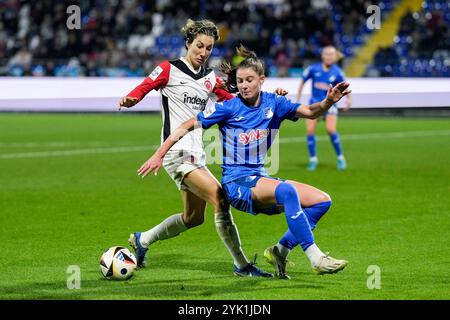 v.Li. : Sara Doorsoun-Khajeh (SGE, 23), Chiara Hahn (STG, 23), Zweikampf, Spielszene, Duell, duel, tackling, Dynamik, action, Aktion, 16.11.2024, Sinsheim (Hoffenheim) (Allemagne), Fussball, Google Pixel Frauen-Bundesliga, TSG 1899 Hoffenheim - SG Eintracht Frankfurt, DFB/DFL LA RÉGLEMENTATION INTERDIT TOUTE UTILISATION DE PHOTOGRAPHIES COMME SÉQUENCES D'IMAGES ET/OU QUASI-VIDÉO. Banque D'Images