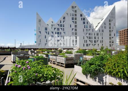 Jardin public de la ville O-Haven en face de l'immeuble d'appartements Iceberg dans le nouveau quartier Aarhus Ø construit par l'agrandissement de la zone portuaire, A Banque D'Images