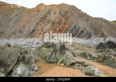 Falaises de grès de Sandymouth Bay, Bude, Cornouailles, Angleterre, Royaume-Uni Banque D'Images