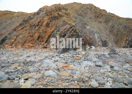 Falaises de grès de Sandymouth Bay, Bude, Cornouailles, Angleterre, Royaume-Uni Banque D'Images