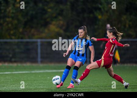 Davinia Vanmechelen (25 ans) du Club YLA et Shari Van belle (14 ans) du Standard photographiées lors d'un match de football féminin entre le Club Brugge Dames YLA et le Standard Femina de Liège le 10 ème jour de la saison 2024 - 2025 de la Super League belge des femmes du Lotto, le samedi 16 novembre 2024 à Aalter, BELGIQUE . Crédit : Sportpix/Alamy Live News Banque D'Images