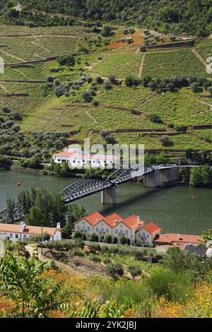 Portugal, Douro, fleuve Douro à Pinhao, vignobles, pont Banque D'Images