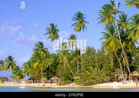 Caraïbes, Tobago, Pigeon Point, plage Banque D'Images