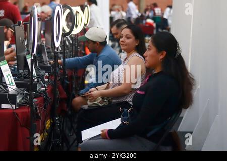 Mexico, Mexique. 16 novembre 2024. Les gens assistent pour demander des permis de conduire permanents, au point de traitement installé dans la Ciudad Deportiva, dans le bureau du maire d'Iztacalco. Le 16 novembre 2024 à Mexico, Mexique. (Photo de Carlos Santiago/Eyepix Group/SIPA USA) crédit : SIPA USA/Alamy Live News Banque D'Images