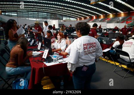 Mexico, Mexique. 16 novembre 2024. Les gens assistent pour demander des permis de conduire permanents, au point de traitement installé dans la Ciudad Deportiva, dans le bureau du maire d'Iztacalco. Le 16 novembre 2024 à Mexico, Mexique. (Photo de Carlos Santiago/Eyepix Group/SIPA USA) crédit : SIPA USA/Alamy Live News Banque D'Images