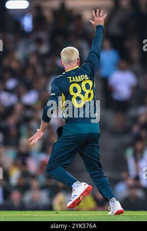 Sydney, Australie. 16 novembre 2024. Adam Zampa d'Australie lance un appel sans succès pour une LBW lors du deuxième match masculin T20I entre l'Australie et le Pakistan au Sydney Cricket Ground. L'Australie a remporté le deuxième match T20I contre le Pakistan en 13 courses au Sydney Cricket Ground. L'Australie mène la série T20 2-0 avec le dernier match T20 qui se jouera le 18 novembre au Bellerive Oval en Tasmanie. Australie : 147/9 (20 overs), Paklistan : 134/10 (19,4 overs). (Photo de Ayush Kumar/SOPA images/SIPA USA) crédit : SIPA USA/Alamy Live News Banque D'Images