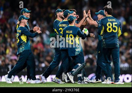 Sydney, Australie. 16 novembre 2024. L'équipe d'Australie célèbre le guichet de Babar Azam du Pakistan lors du deuxième match T20I masculin entre l'Australie et le Pakistan au Sydney Cricket Ground. L'Australie a remporté le deuxième match T20I contre le Pakistan en 13 courses au Sydney Cricket Ground. L'Australie mène la série T20 2-0 avec le dernier match T20 qui se jouera le 18 novembre au Bellerive Oval en Tasmanie. Australie : 147/9 (20 overs), Paklistan : 134/10 (19,4 overs). (Photo de Ayush Kumar/SOPA images/SIPA USA) crédit : SIPA USA/Alamy Live News Banque D'Images