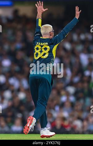 Sydney, Australie. 16 novembre 2024. Adam Zampa d'Australie lance un appel sans succès pour une LBW lors du deuxième match masculin T20I entre l'Australie et le Pakistan au Sydney Cricket Ground. L'Australie a remporté le deuxième match T20I contre le Pakistan en 13 courses au Sydney Cricket Ground. L'Australie mène la série T20 2-0 avec le dernier match T20 qui se jouera le 18 novembre au Bellerive Oval en Tasmanie. Australie : 147/9 (20 overs), Paklistan : 134/10 (19,4 overs). (Photo de Ayush Kumar/SOPA images/SIPA USA) crédit : SIPA USA/Alamy Live News Banque D'Images