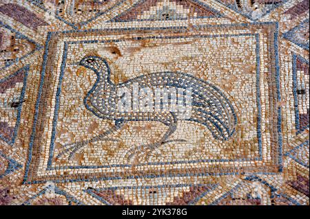 Mosaïque dans le complexe d'Eustolios à Kourion, Chypre, Méditerranée orientale Banque D'Images