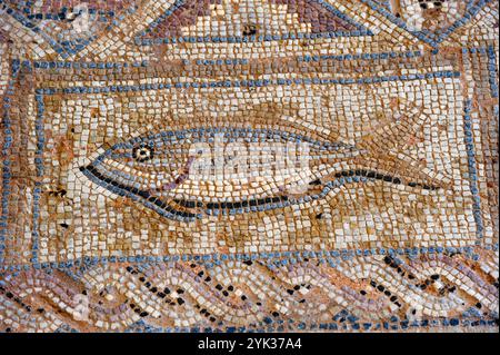 Mosaïque dans le complexe d'Eustolios à Kourion, Chypre, Méditerranée orientale Banque D'Images