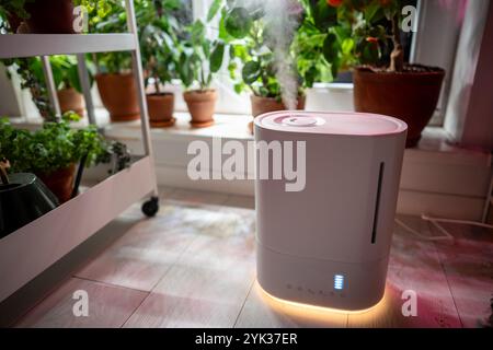 Humidificateur d'air sur le sol à la maison, vapeur illuminée par la lumière de culture, plantes en pot sur le rebord de la fenêtre Banque D'Images