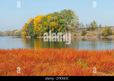 Paysage avec une rivière à l'eau calme reflétant les arbres environnants. Les arbres présentent des couleurs d'automne vibrantes, avec un mélange de vert, jaune et ou Banque D'Images