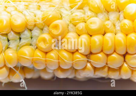 Épi de maïs mettant en évidence les grains individuels. Les grains sont jaunes et semblent dosés et juteux, avec un peu de soie de maïs visible entre eux. Lo détaillé Banque D'Images