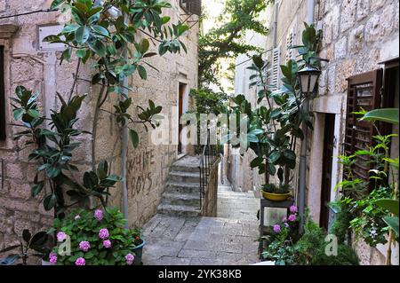 Ruelle dans la vieille ville de Korcula, île de Korcula, Croatie, Europe du Sud-est Banque D'Images