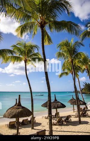 Parasols de chaume sur la plage avec cocotiers à Royal Palms Beachcomber Luxury (Beachcomber Resorts), Grand Baie, rivière du Rempart, Ile Maurice, Banque D'Images