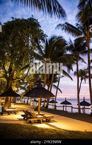Chaises longues et parasols en chaume sur la plage avec des cocotiers au Royal Palms Beachcomber Luxury (Beachcomber Resorts) au crépuscule, trou aux Biches, Banque D'Images
