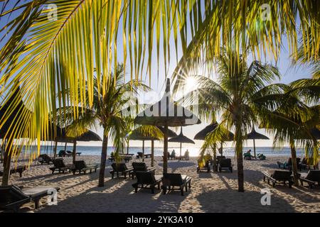 Cocotiers, chaises longues et parasols en chaume sur la plage du Dinarobin Beachcomber Golf Resort Banque D'Images