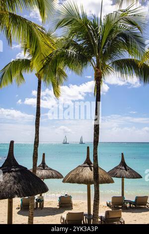 Parasols de chaume sur la plage avec des cocotiers à Royal Palms Beachcomber Luxury (Beachcomber Resorts) et catamaran Voiliers au loin, Gr Banque D'Images
