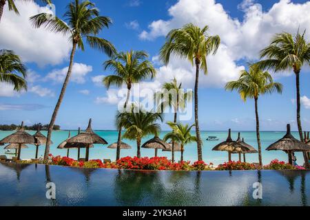 Piscine et parasols en chaume avec cocotiers au Royal Palms Beachcomber Luxury (Beachcomber Resorts), Grand Baie, rivière du Rempart, Mauri Banque D'Images